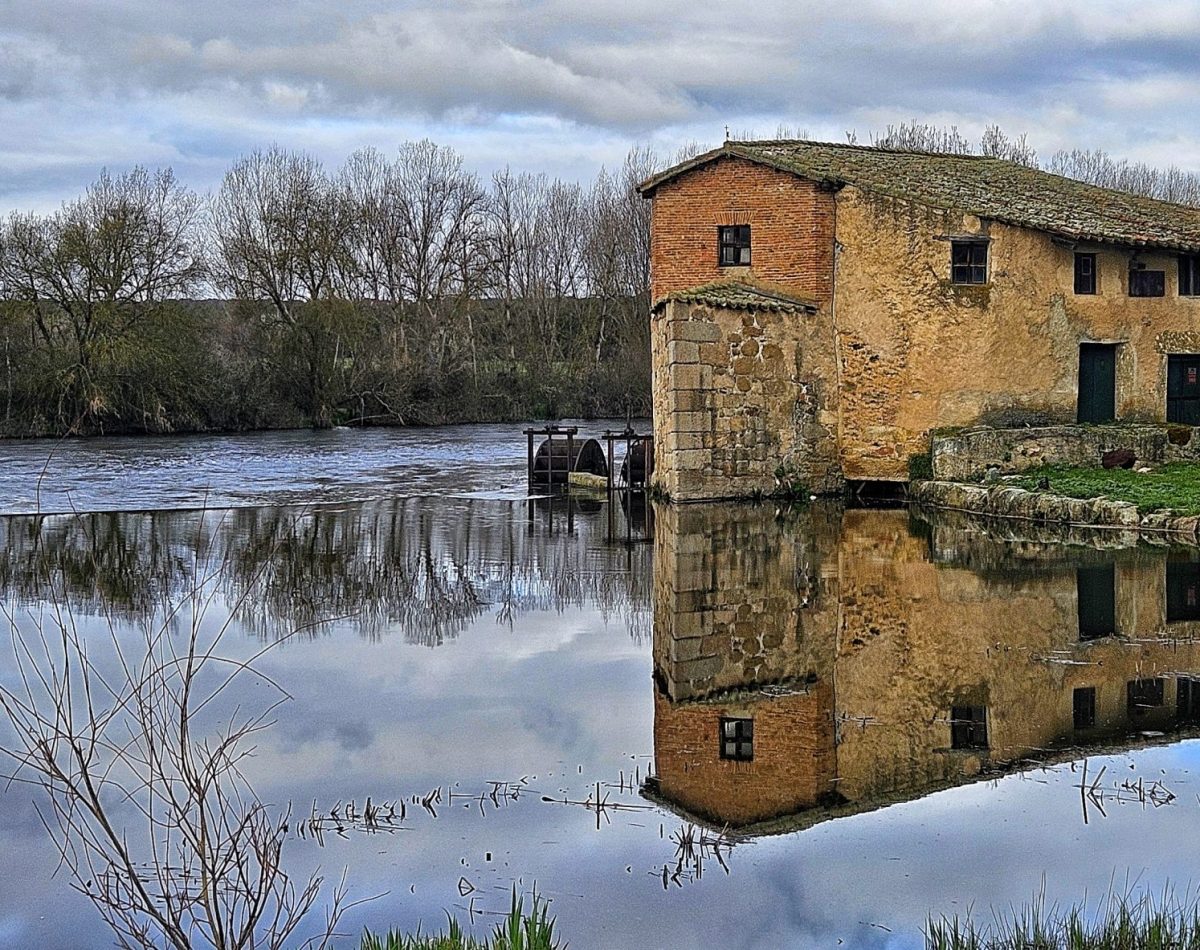 Molino de Santa Teresa en la ribera tormesina a su paso por localidad de Juzbado (2024)